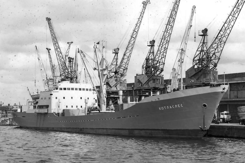 Судно для перевозки леса