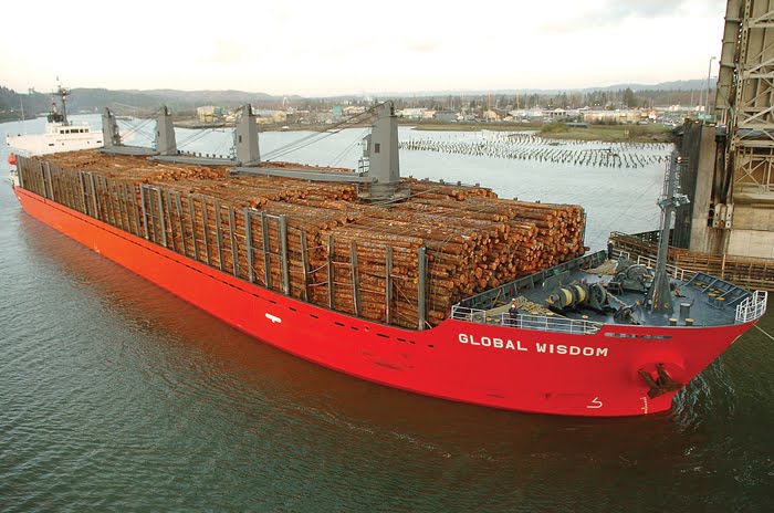 Судно для перевозки леса